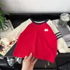 Camiseta Dopamina de Algodón Puro para Niños con Mangas Largas Bordada de Cachorro, Top Raglán con Bloques de Color, Camiseta Base Suelta para Bebé con Mangas Largas