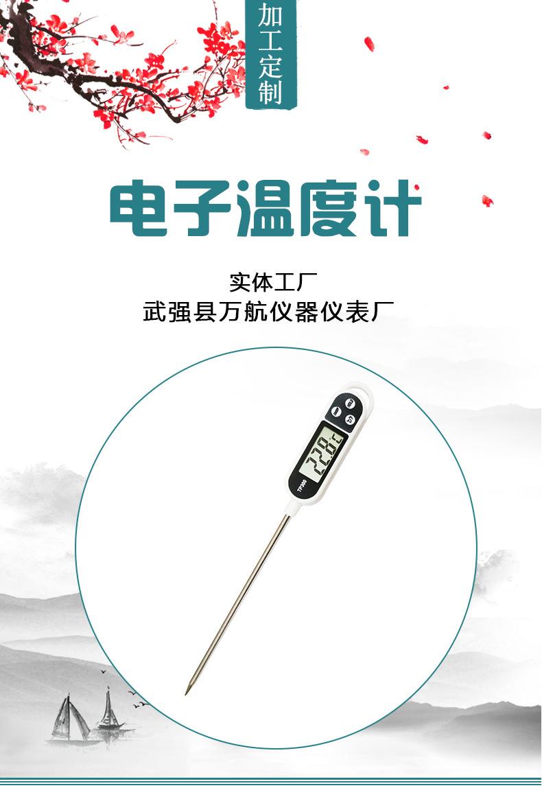 TP300电子温度计详情_01.jpg