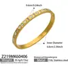 Moda estilo europeu e americano novo conjunto de pulseira com fechoplaino em aço inoxidável com cravação de zircônia em formato de coração, joia feminina versátil de nicho