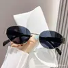 Óculos de Sol Pequenos com Armação de Metal Oval de Chapa de Ferro 2024 Moda Óculos de Sol Femininos Alta Qualidade Para Tirar Fotos Olho de Gato