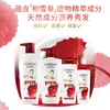 L'Oreal Champú Multiefecto Anticaspa Sin Silicona 700ml Adecuado para Cabello con Caspa y Seco Al Por Mayor