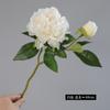 Flores Artificiais com 2 Cabeças, Peônias com Borda Queimada, Decorações para Sala de Estar, Decorações de Mesa de Jantar de Luxo, Peônias Falsas, Adereços para Fotografia