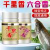 Versión dorada de Qianlixiang Liuhe Xiang atrayente para peces aditivo de apertura cebo material de nido carpa cruciana carpa hierba carpa plateada carpa cabezona pesca pequeña poción