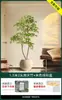 Planta Verde Artificial Nantianzhu, de Gama Alta y Lujo, de Pie, Grande para Interiores y Exteriores, Bonsái de Alta Calidad, Árbol Falso para la Sala de Estar