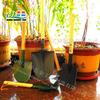 Pala de Acero al Fuego al por Mayor de Fábrica Pala Agrícola Pala Multifuncional de Acero al Manganeso Pala Pala Mango de Madera Pala Pequeña Pala
