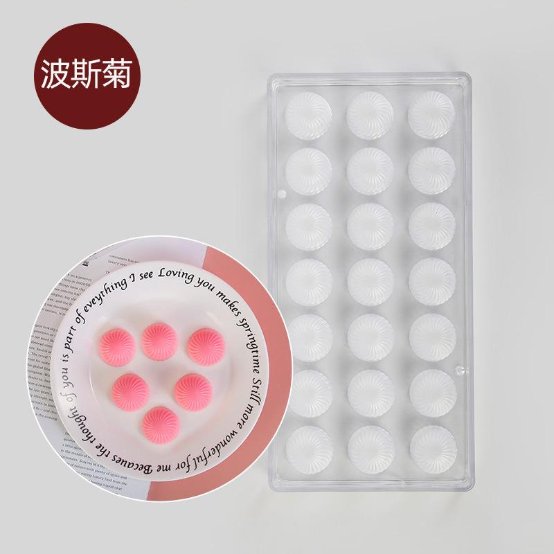 YL-367  波斯菊