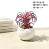 Bonsái de Planta Verde Nórdica Flor Falsa Decoración de Interior Decoración de Escritorio Biónica Suculenta Pequeña Planta en Maceta