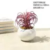 Plantas Verdes Simples Suculentas de Plástico em Vaso Ornamento para Sala de Estar Mesa de Jantar Flores Artificiais Decorações Ornamento Flores Biomórficas