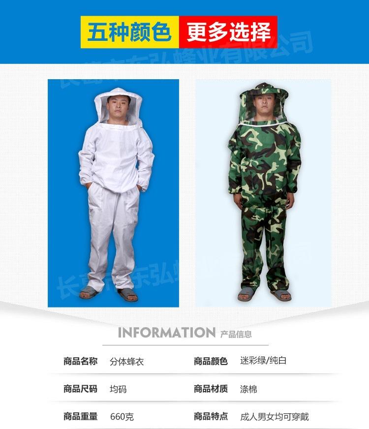 分体