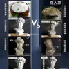 Estátua de Gesso de Davi Estátua de Gesso Ornamentos Arte Ensinamento Consciente Vênus Xiaowei Pirata Decorações Europeias e Americanas Escultura Ornamentos