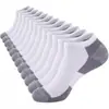 Fabricante de Zhuji Venta al por mayor y Dropshipping Calcetines Deportivos y Casuales de Color Sólido Nuevos para Primavera y Otoño para Hombres y Mujeres
