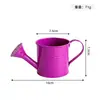 Regadera de jardín colorida, regadera pequeña para el hogar, regadera para plantas en maceta, herramienta para regar flores, maceta de hojalata para jardín