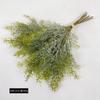 Pacote transfronteiriço de plantas aquáticas de grama de peixinho dourado plantas verdes de outono com grama planta decoração de parede fotografia layout de paisagismo atacado