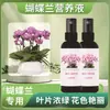 Fertilizante Mixto Especial para Orquídeas Phalaenopsis para Promover el Crecimiento de Raíces Tuberosas, Mejorar el Suelo, Suelo Nutritivo de Liberación Rápida, Fertilizante para Plantas en Maceta al por Mayor