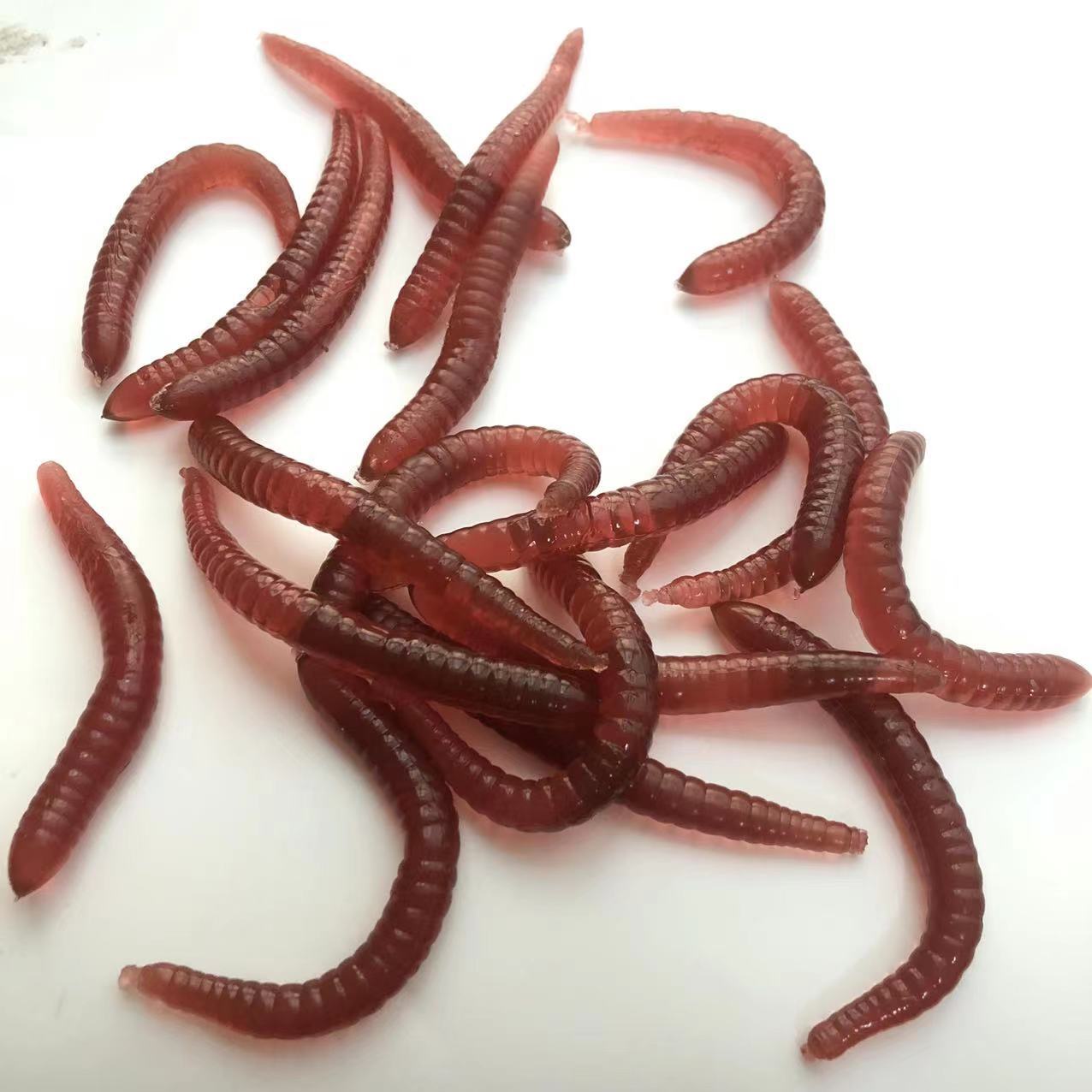 08c800dec16bafe0dd65160b551c8f