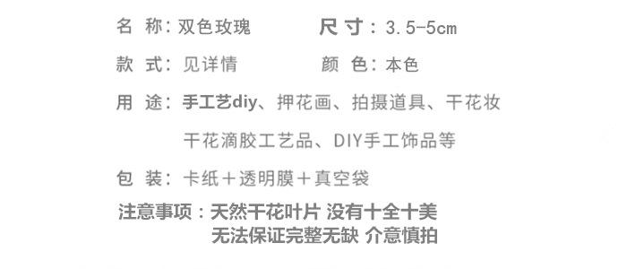 双色玫瑰.png