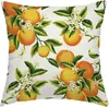 Funda de Almohada de Fruta Funda de Almohada para Sofá de Sala de Estar Funda de Almohada Hogar Nuevo Fabricantes Transfronterizos de Amazon