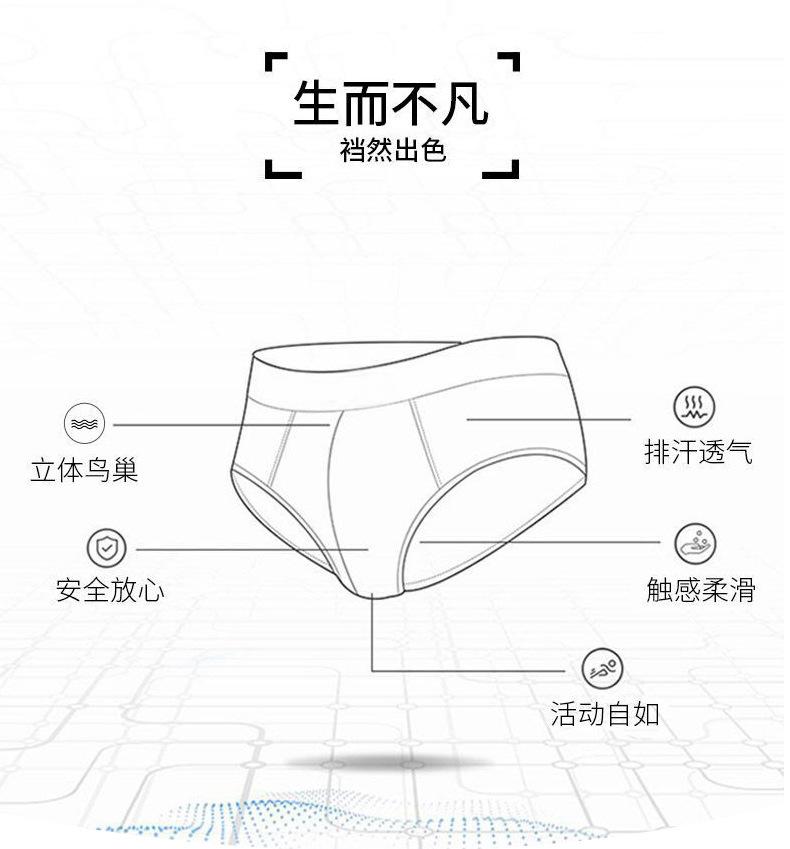 画板 8.jpg