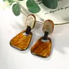 Brincos de Moda Europeus e Americanos Novos, Brincos Femininos Simples e de Alto Padrão, Brincos Versáteis de Acrílico Frescos e Elegantes Atacado