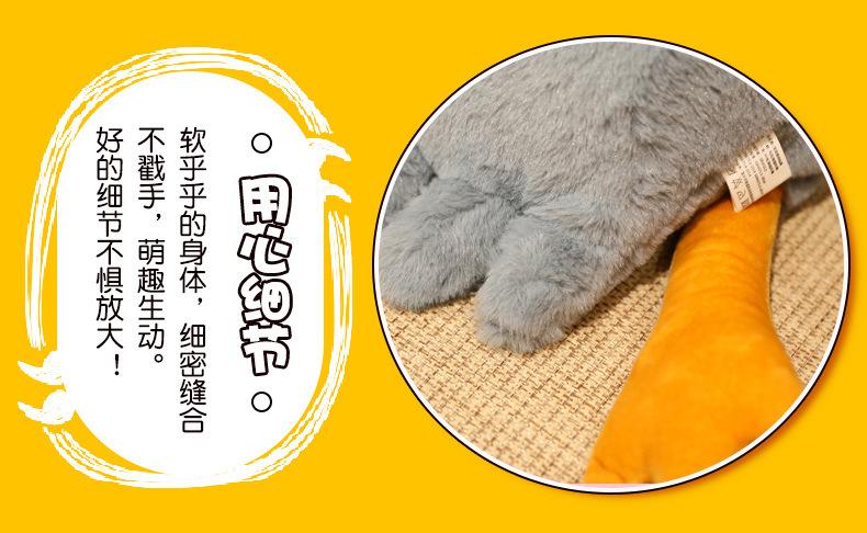 06-一只鸭子靠枕地垫+视频.jpg