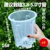Nuevo Maceta Específica para Orquídea Phalaenopsis Columna de Aire Transparente Maceta para Plantas Ratán Verde Galón Control de Raíces Maceta de Plástico Balcón
