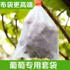 Bolsa de malla transpirable a prueba de pájaros para uvas zhasi, variedad sunshine rose, para embolsar uvas y frutas al por mayor