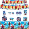 Platos de Papel del Hombre Araña, Vasos de Papel, Servilletas de Papel, Vajilla Desechable, Decoraciones para Fiestas de Cumpleaños, Banderines, Cajas de Galletas de Arroz, Manteles y Serpentinas