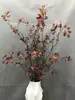 Simulación de Hojas de Otoño Envolviendo Ramas Secas, Techo, Ramas y Arreglo de Ratán, Hojas de Bayas Silvestres, Enredaderas, Ramas Secas, Paisaje Floral Suave