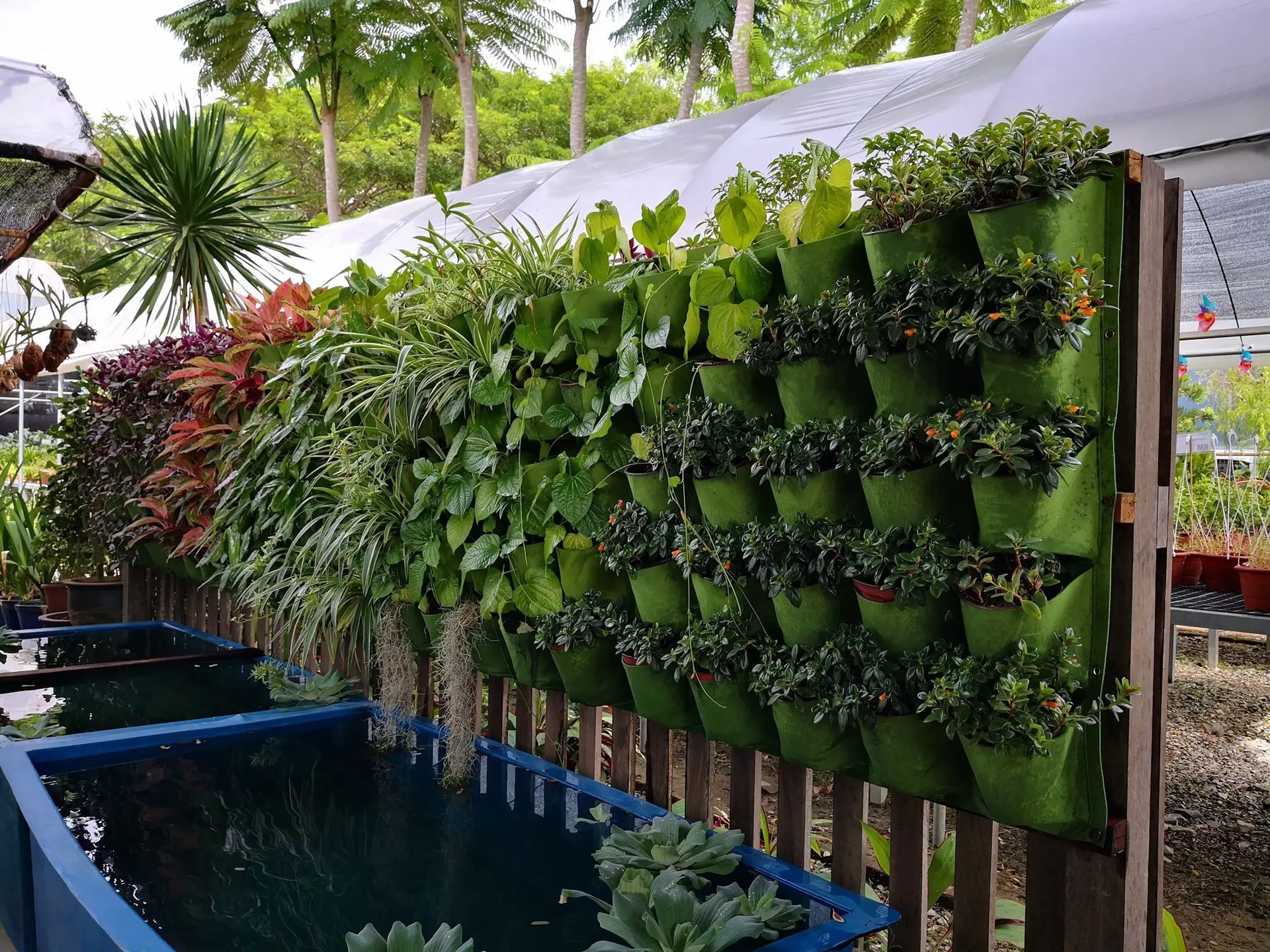 智贝详情图_加厚阳台壁挂式毛毡植物袋种植袋无纺布植物袋育苗容