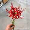 Flor artificial Feng Yu Lan bianhua Manzhu shahua flor falsa Casa estilo antigo fotografia fotografia de casamento adereços flor decorativa