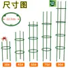 Versão Engrossada Que Pode Ser Empilhada Infinitamente, Suporte de Flores, Anel de Suporte para Plantas Garra de Caranguejo, Estrutura para Plantas Trepadeiras, Suporte de Flores, Haste de Suporte Anti-Queda