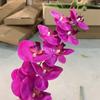 9 Phalaenopsis Impressas em 3D, Flor Simulada Toque de Cola Orquídea Decoração Arranjo de Flores de Casamento Estilo Show Azul Interestelar