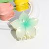 Venta Caliente Transfronteriza Moda Pequeño Fresco Combinación Perfecta Degradado Teñido Simi Flor Pinza Pinza para el Cabello de Niña Combinación Perfecta Accesorios para el Cabello