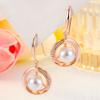 Pendientes de perlas de imitación ABS con diseño de nicho, pendientes de moda de alta calidad, pendientes elegantes de lujo con luz francesa para mujer, venta al por mayor