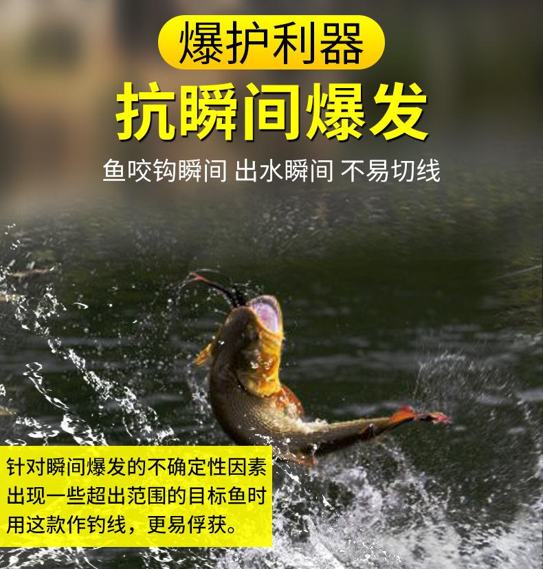 未标题-1_13.jpg