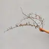 Plantas Hidropónicas, Rosas de Montaña, Arreglos Florales Cortados Frescos, Fáciles de Mantener, Floreros de Flores Secas de Vid de Serpiente del Sur, Estilo Retro de Lujo Ligero
