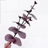 Ramas de Eucalipto Artificiales, Hojas de Eucalipto Simuladas, Vegetación Estilo Bosque, Hojas Artificiales para Paisajismo, Plantas Falsas para Decoración del Hogar