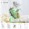 Vaso Flutuante DIY Flores Secas Flor Eterna Kit de Material Espécimes de Plantas Feitos à Mão Atividade Dia dos Professores Oficina