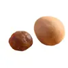 Lote nuevo de longan seco, con cáscara, pulpa gruesa y semillas pequeñas. Perfecto para hacer sopa o infusionar en agua. Asequible, empaquetado en bolsas y disponible para venta al por mayor