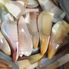 Peine de cuerno boutique Tan San peine de ángulo pequeño 12 cm peine de bolsillo tabla de raspado al por mayor