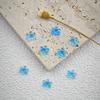 Venta caliente cielo estrellado flash garra de oso joyería para uñas resina hielo transparente garra de gato DIY hecho a mano funda para teléfono material para joyería