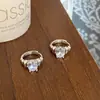 Diseño de Nicho Sentido de Lujo Ligero Pendientes de Circonita Para el Trabajo Versátiles Sentido de Alta Gama Simples Elegantes Modernos Pendientes Personalizados
