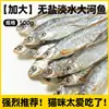 Snacks para Gatos, Pescado Seco Sin Sal para Mascotas, Krill Antártico Liofilizado para Aumento de Peso y Desarrollo Facial, Adecuado para Gatitos, Mezclado con Comida para la Limpieza Dental
