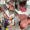 Cortadora de Carne de Res Totalmente Automática Comercial, Cortadora de Carne Congelada y Grasa de Res, Cortadora de Rollo de Cordero de Acero Inoxidable de Grosor Ajustable