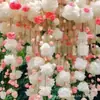 Compras de e-commerce - Transfronteiriças: Sementes de flores de Clematis fáceis de cultivar, adequadas para plantar o ano todo, sementes de germinação e floração, planta trepadeira