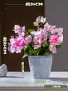 Plantas en Maceta Pequeñas de Simulación Decoración de Escritorio para Oficina Sala de Estar Adornos Entrada Interior Flores Falsas Biomorfas Decoración de Plantas Verdes