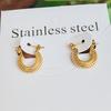 Pendientes Irregulares de Luna Europeos y Americanos de Lujo Ligero Pendientes Altos para Mujer Acero de Titanio Acero Inoxidable Vacío Color 18K Conservación YS166