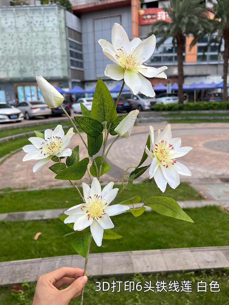 3D打印6头铁线莲-白色.jpg