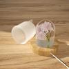 Molde cilíndrico de plástico para velas colgantes DIY de amapola, adornos de luz nocturna USB, cilindro de espécimen de flor seca, molde de silicona