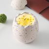 Venta al por mayor Spot Taza de Vela de Cerámica Creativa Contenedor Cáscara de Huevo Regalo Dormitorio Aromaterapia Adornos Decorativos Vela Taza Vacía